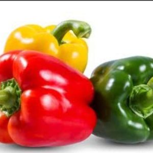 Capsicum