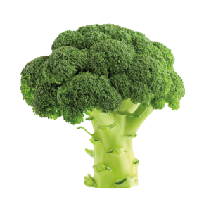 Broccoli